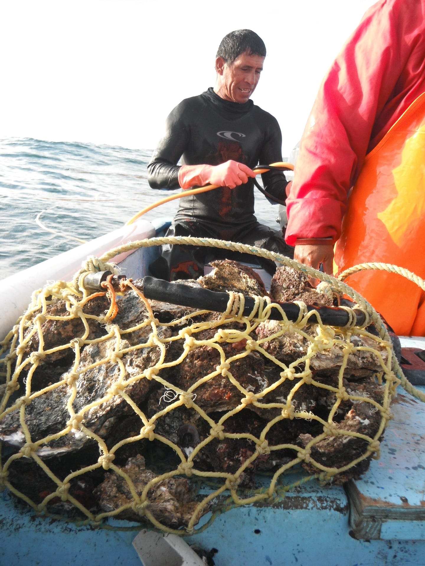 somedan-h-pesca-1